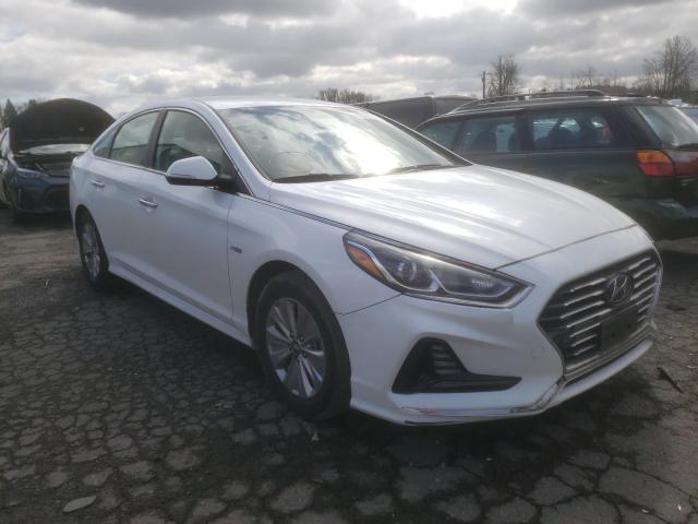 HYUNDAI SONATA HYB 2019 kmhe24l39ka088150