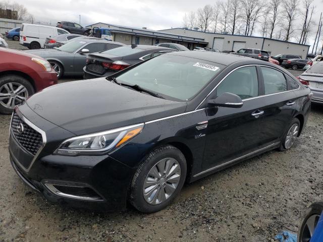 HYUNDAI SONATA 2017 kmhe24l3xha074136