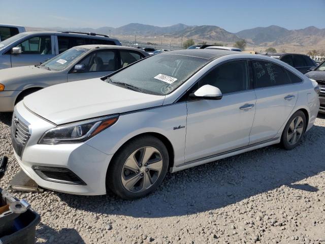 HYUNDAI SONATA HYB 2016 kmhe34l11ga028995