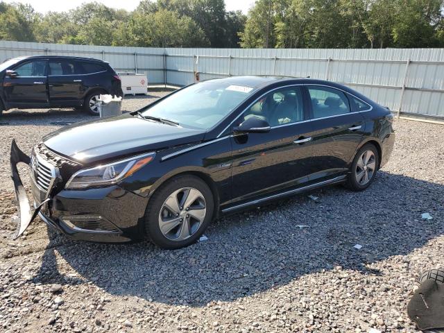 HYUNDAI SONATA HYB 2016 kmhe34l15ga022780