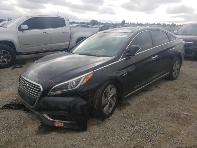 HYUNDAI SONATA HYB 2016 kmhe34l15ga026568