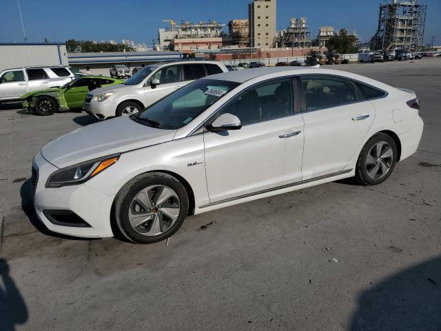 HYUNDAI SONATA HYB 2016 kmhe34l16ga012985