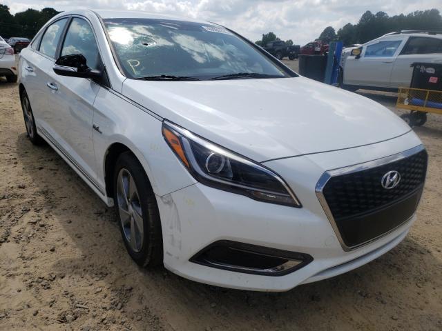 HYUNDAI SONATA HYB 2016 kmhe34l18ga012986