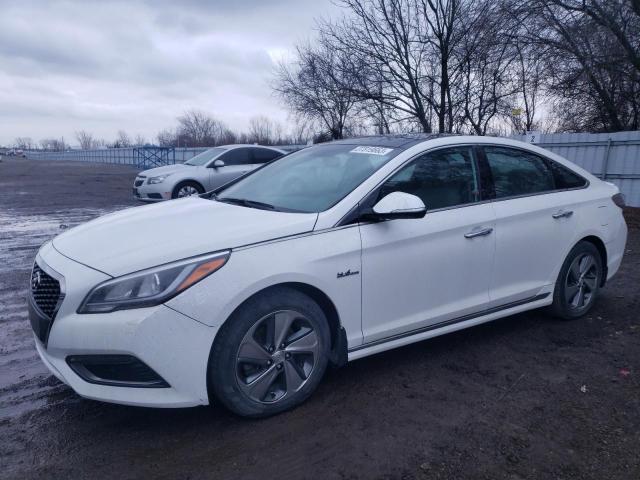 HYUNDAI SONATA HYB 2016 kmhe34l19ga008350