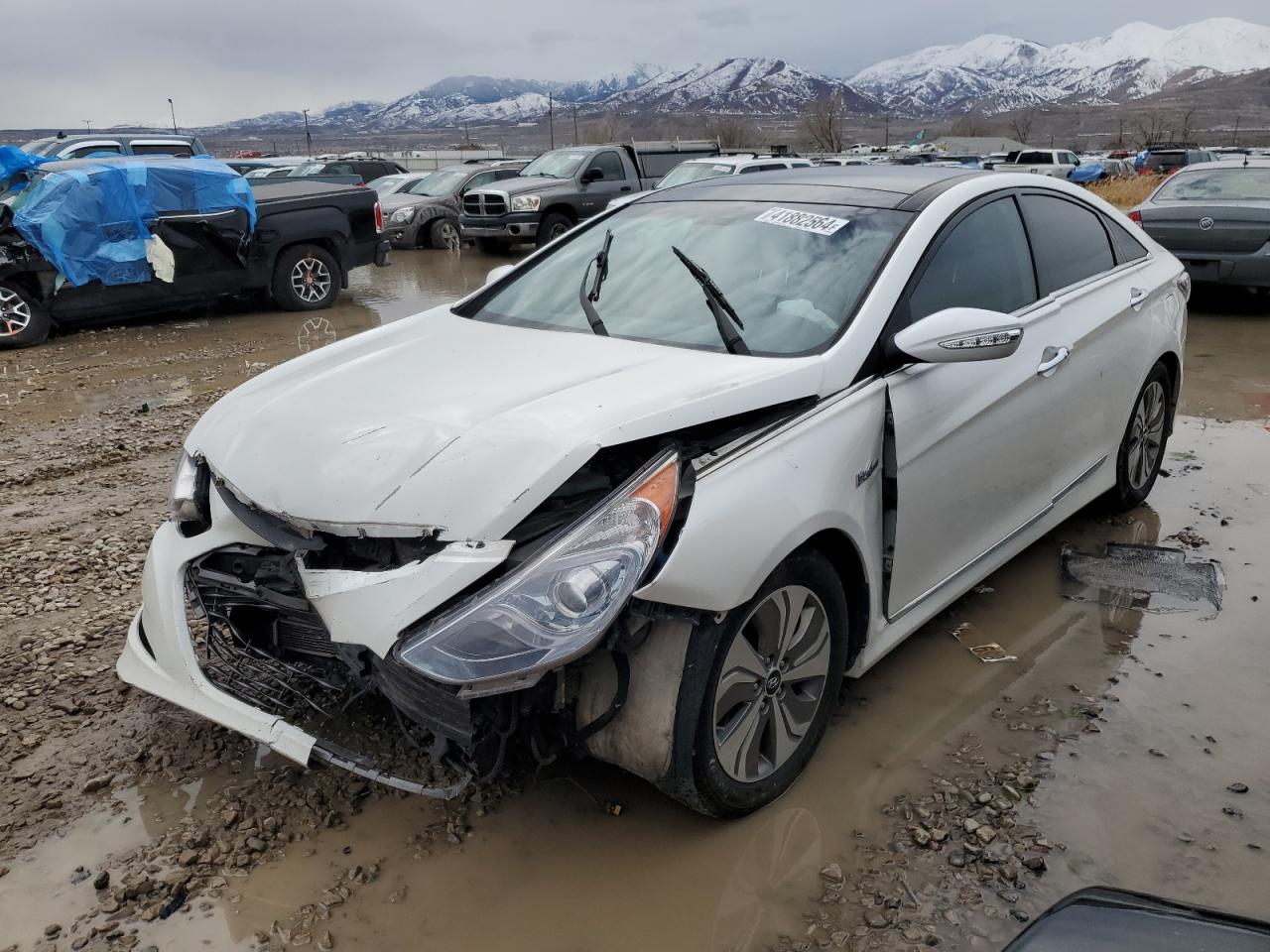 HYUNDAI SONATA 2015 kmhec4a44fa125099