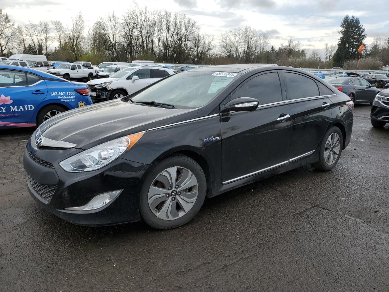 HYUNDAI SONATA 2015 kmhec4a47fa131754