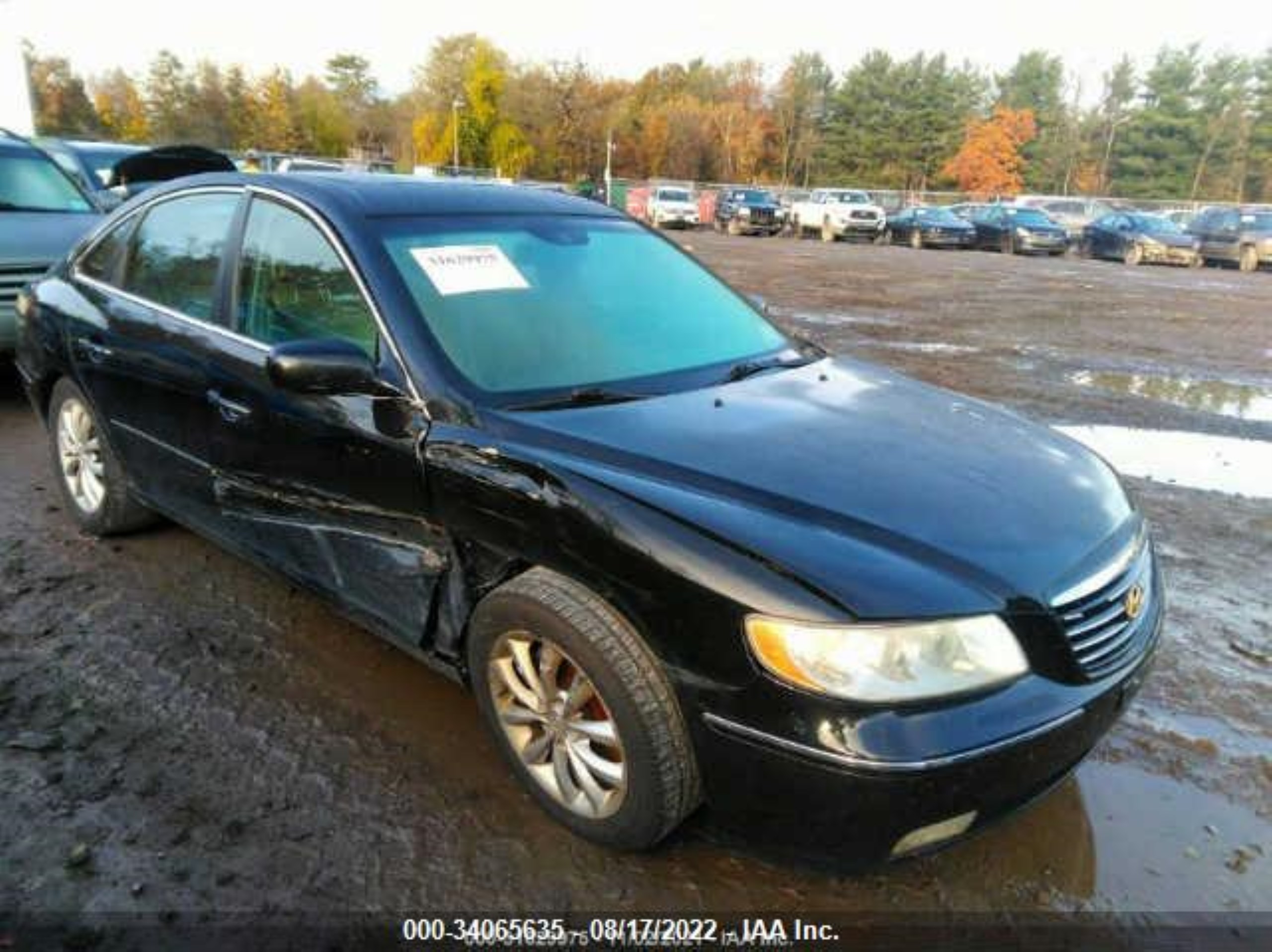 HYUNDAI AZERA 2006 kmhfc46f86a107302