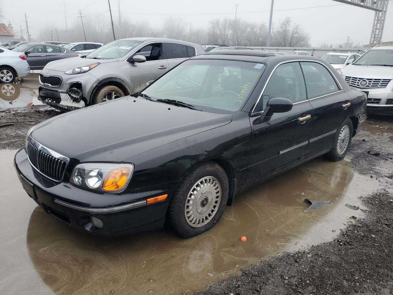 HYUNDAI GRANDEUR 2001 kmhfu45d61a087556