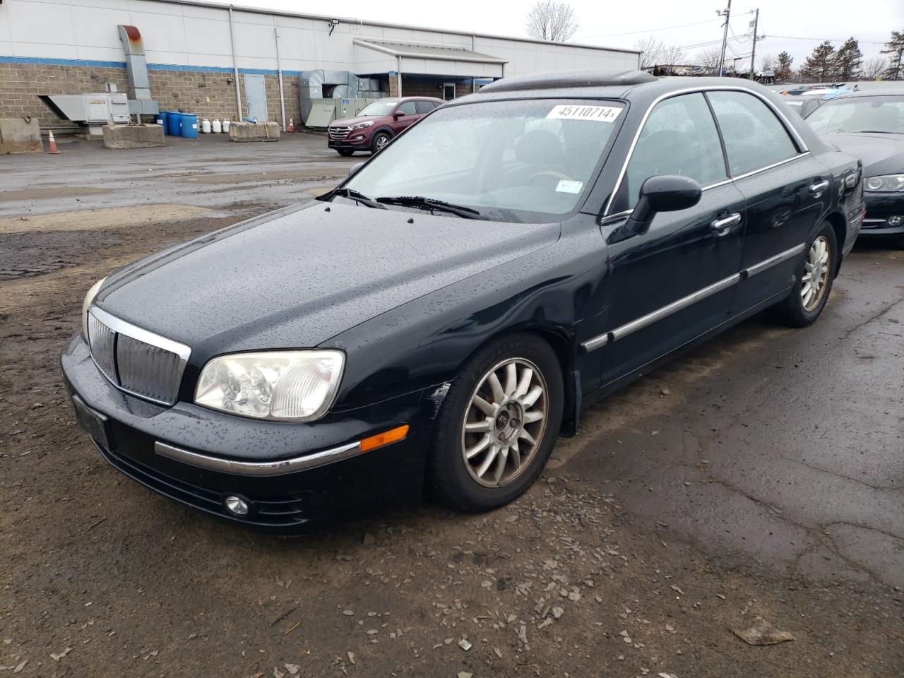 HYUNDAI GRANDEUR 2005 kmhfu45e55a404726