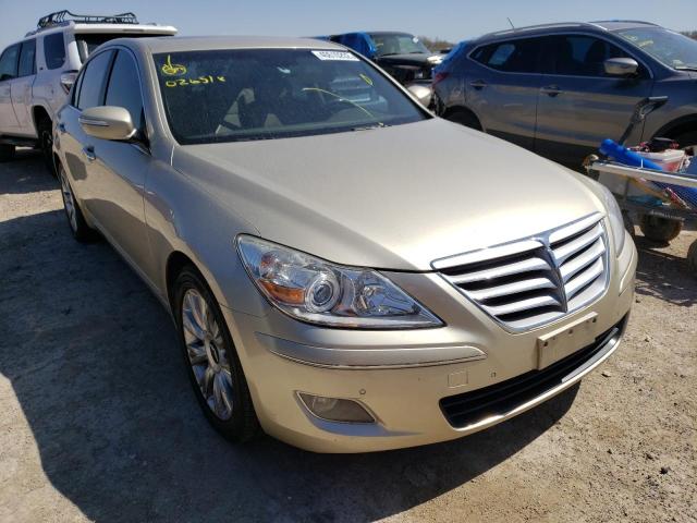 HYUNDAI GENESIS 3. 2009 kmhgc46e09u026518