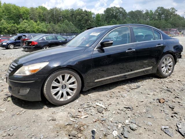 HYUNDAI GENESIS 2009 kmhgc46e49u033407