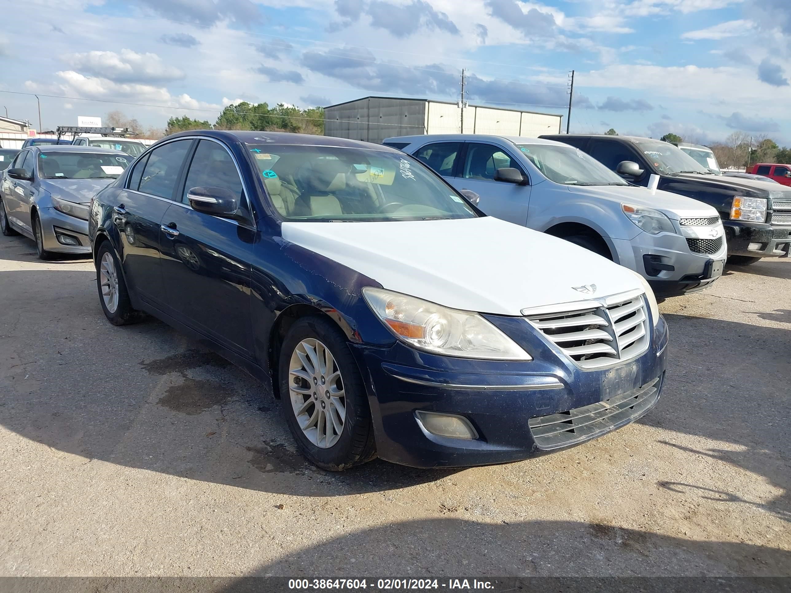 HYUNDAI GENESIS 2009 kmhgc46e59u025476