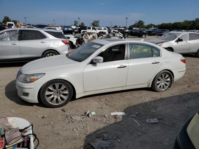 HYUNDAI GENESIS 3. 2009 kmhgc46e59u062821