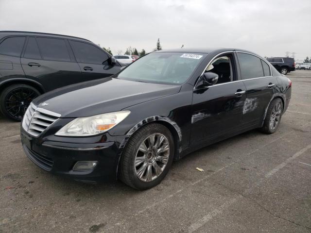 HYUNDAI GENESIS 2009 kmhgc46e79u035068