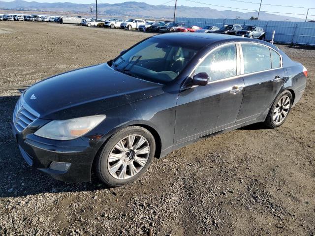 HYUNDAI GENESIS 2009 kmhgc46e79u042831