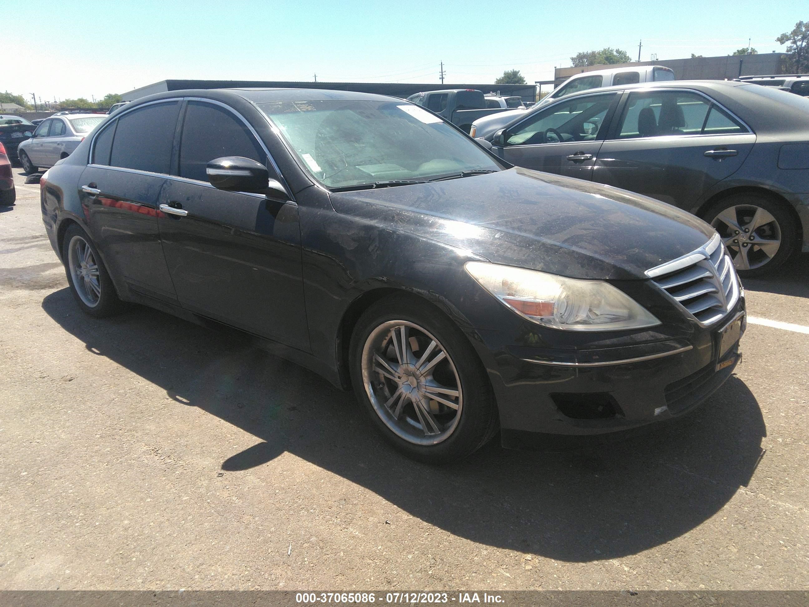 HYUNDAI GENESIS 2009 kmhgc46e89u042823