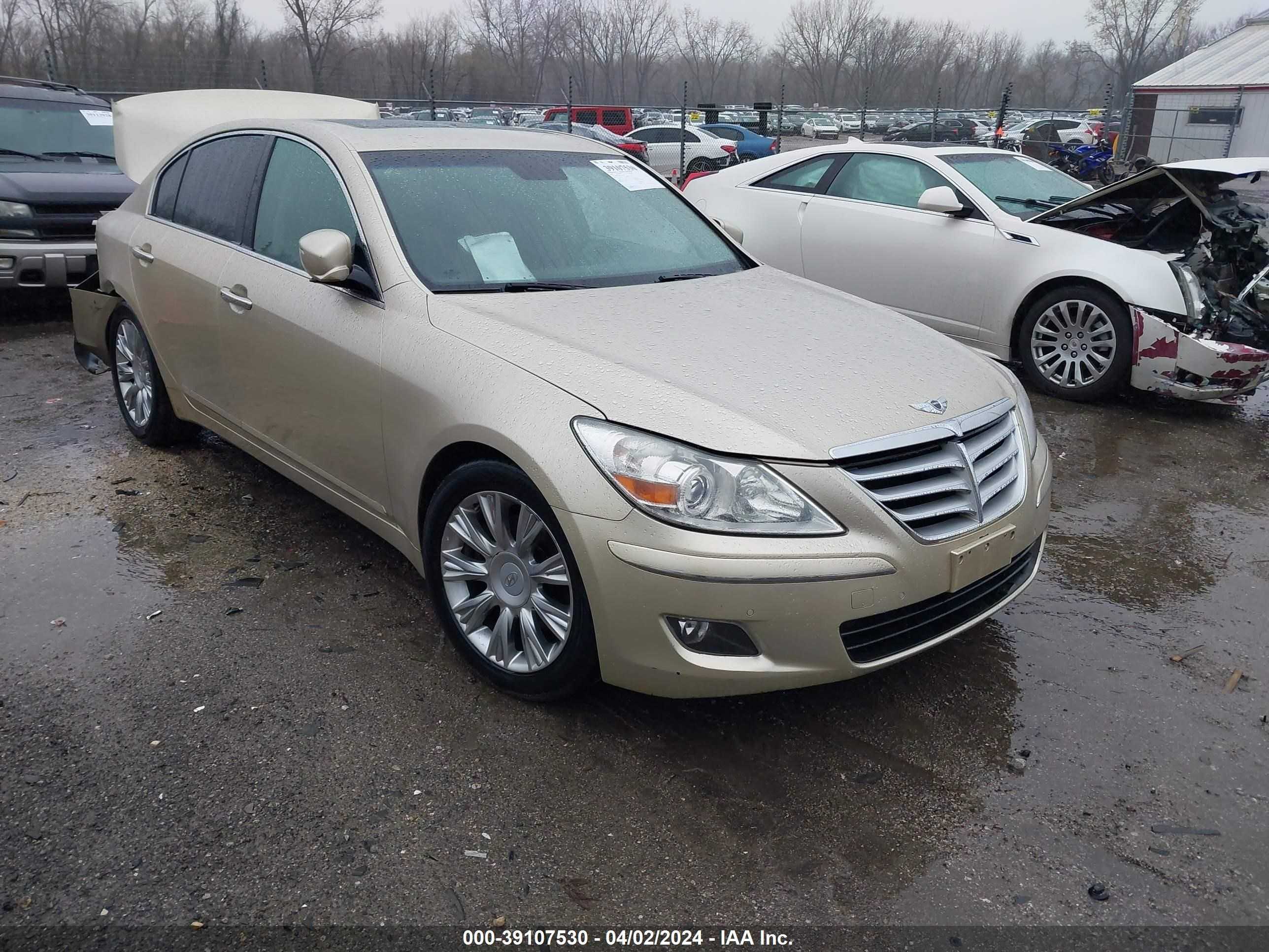 HYUNDAI GENESIS 2009 kmhgc46ex9u036229