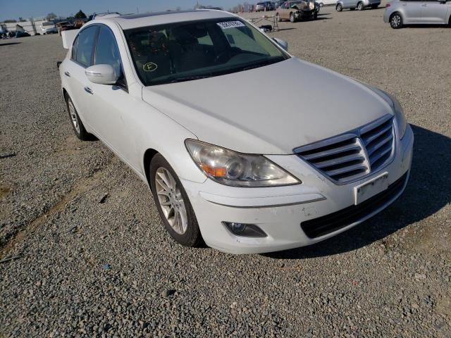 HYUNDAI GENESIS 3. 2009 kmhgc46ex9u046484