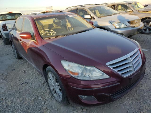 HYUNDAI GENESIS 4. 2009 kmhgc46f19u047581