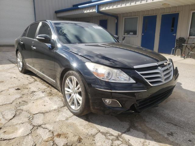 HYUNDAI GENESIS 4. 2009 kmhgc46f29u034712