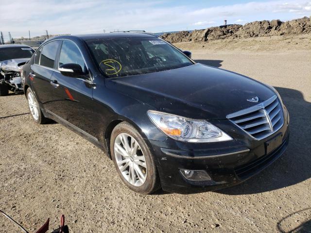 HYUNDAI GENESIS 2009 kmhgc46f29u061182