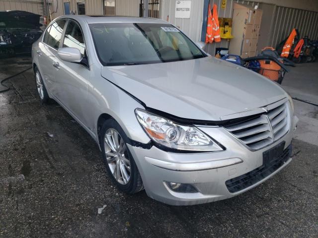 HYUNDAI GENESIS 4. 2009 kmhgc46f49u041337