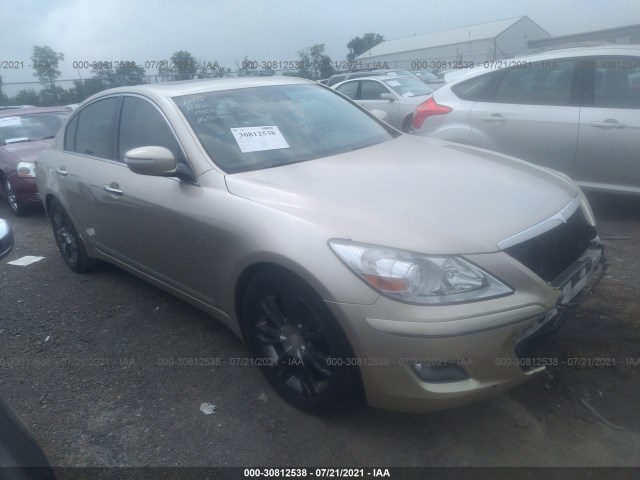 HYUNDAI GENESIS 2010 kmhgc4df1au070592