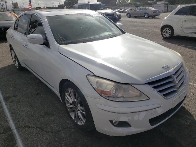 HYUNDAI GENESIS 4. 2011 kmhgc4df3bu129059