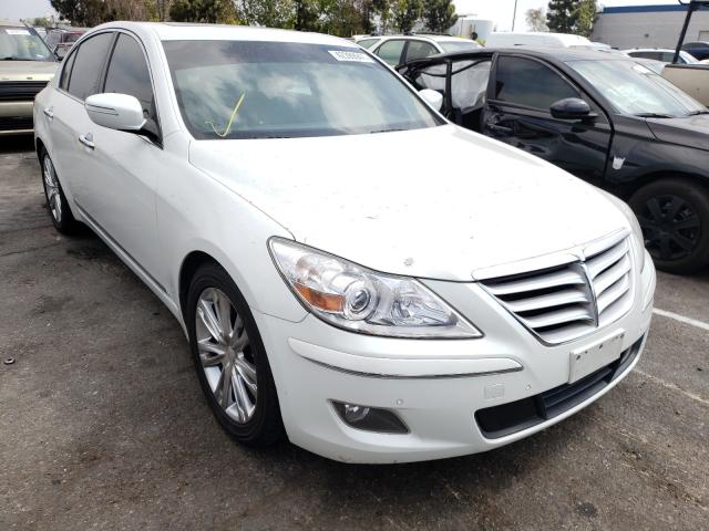 HYUNDAI GENESIS 2010 kmhgc4df8au100221