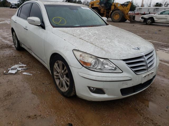 HYUNDAI GENESIS 4. 2010 kmhgc4dfxau071403