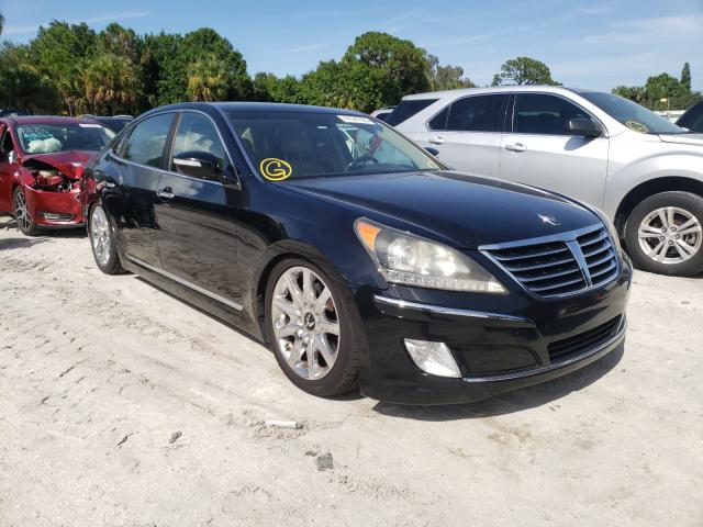 HYUNDAI EQUUS SIGN 2011 kmhgh4jf0bu029409