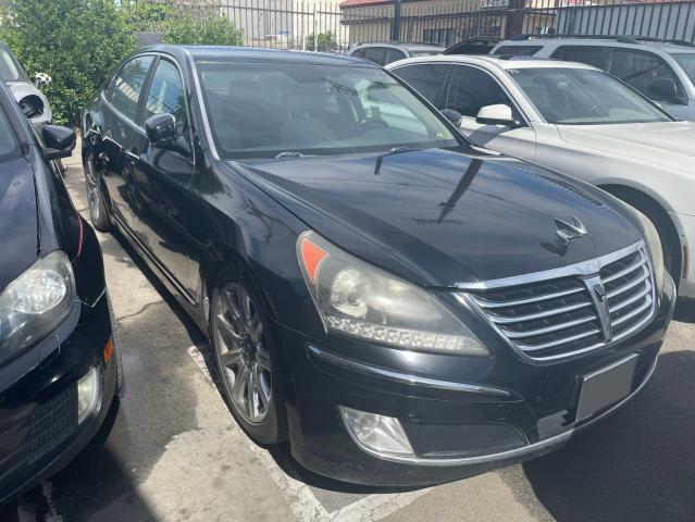 HYUNDAI EQUUS SIGN 2011 kmhgh4jf0bu041768