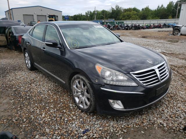 HYUNDAI EQUUS SIGN 2011 kmhgh4jf6bu035280