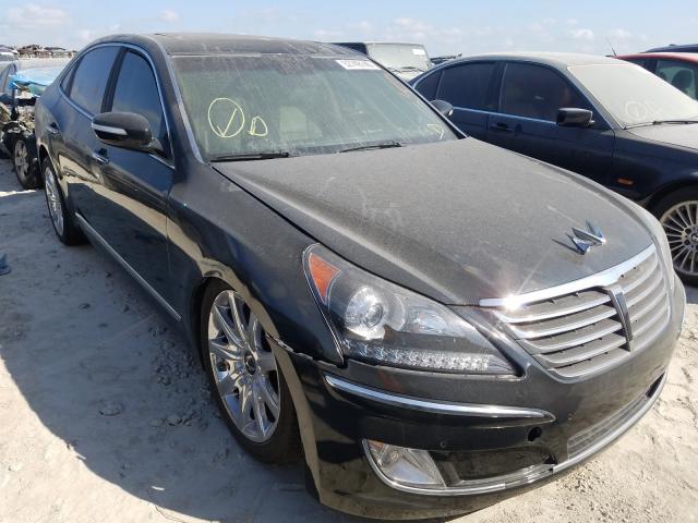 HYUNDAI EQUUS SIGN 2011 kmhgh4jf7bu039306