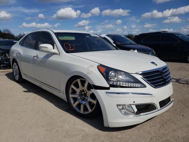 HYUNDAI EQUUS SIGN 2011 kmhgh4jf9bu029036