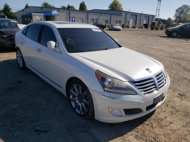 HYUNDAI EQUUS SIGN 2012 kmhgh4jh1cu055889