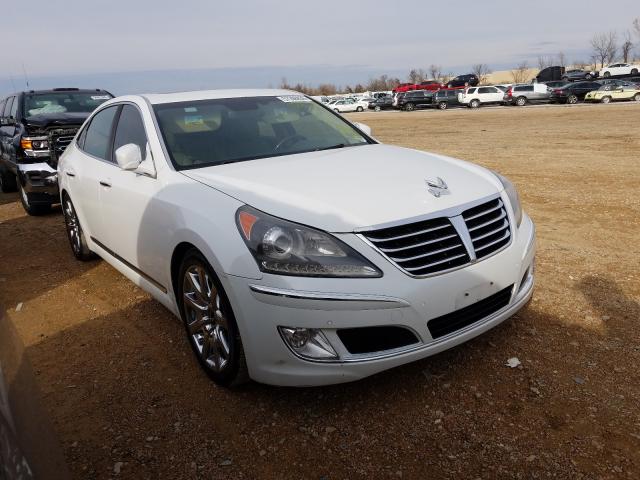 HYUNDAI EQUUS SIGN 2013 kmhgh4jh1du059670