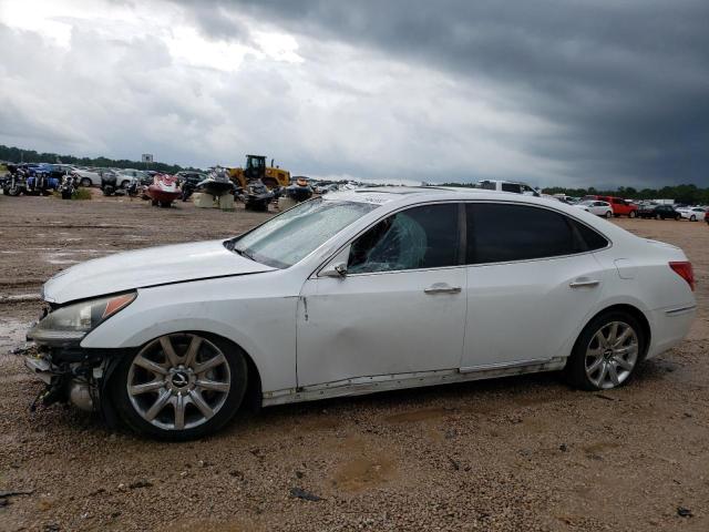 HYUNDAI EQUUS SIGN 2013 kmhgh4jh2du067518