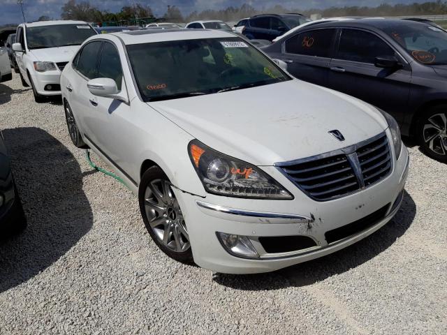 HYUNDAI EQUUS SIGN 2013 kmhgh4jh3du057953