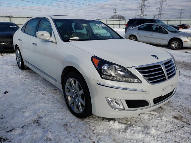 HYUNDAI EQUUS SIGN 2013 kmhgh4jh3du069729