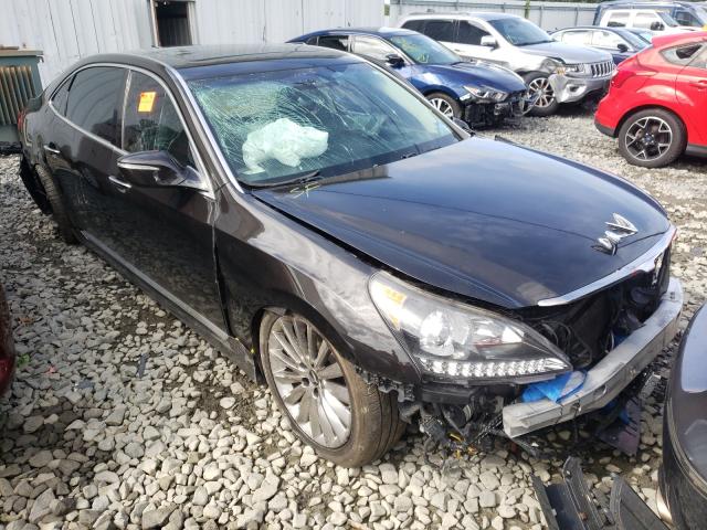 HYUNDAI EQUUS SIGN 2014 kmhgh4jh3eu079551