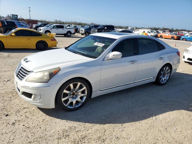 HYUNDAI EQUUS SIGN 2013 kmhgh4jh5du069392