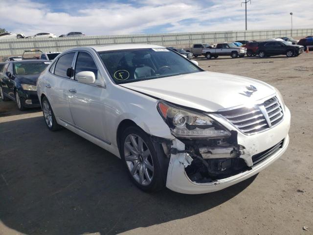 HYUNDAI EQUUS SIGN 2013 kmhgh4jh7du059964