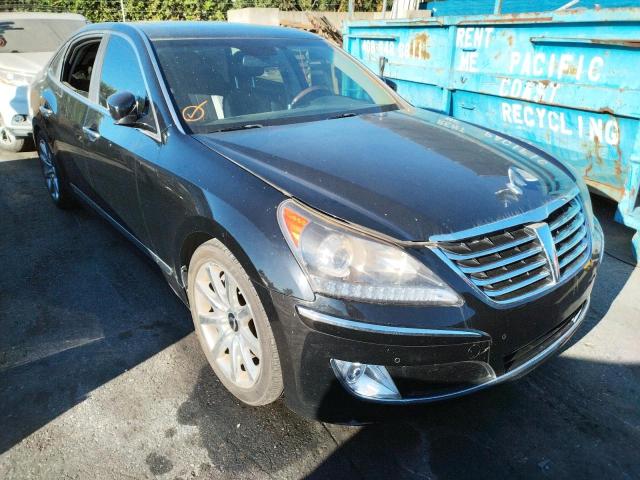 HYUNDAI EQUUS SIGN 2013 kmhgh4jh8du067491