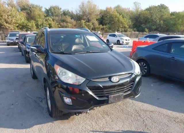 HYUNDAI TUCSON 2013 kmhju3ac2du773260