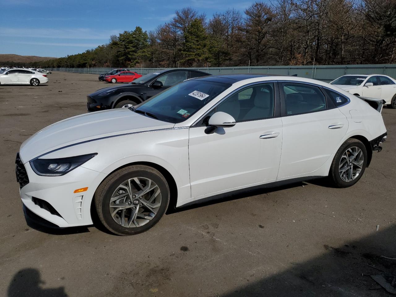 HYUNDAI SONATA 2022 kmhl14ja1na206529