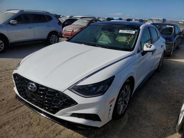 HYUNDAI SONATA SEL 2023 kmhl14ja2pa269531