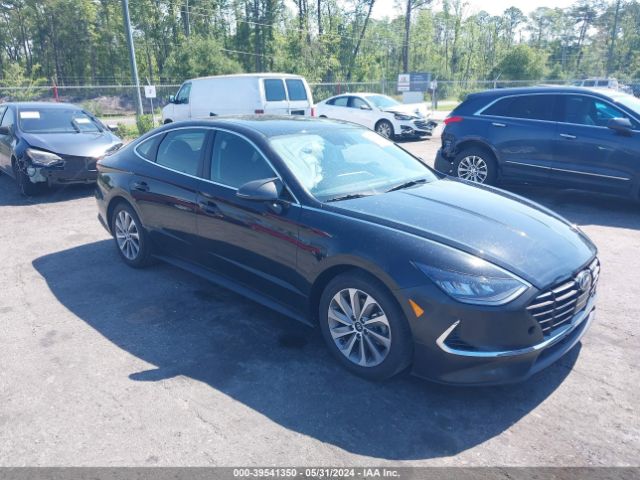 HYUNDAI SONATA 2023 kmhl24ja5pa249139