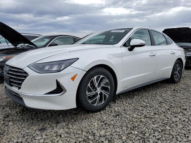 HYUNDAI SONATA 2020 kmhl24jj3la012515