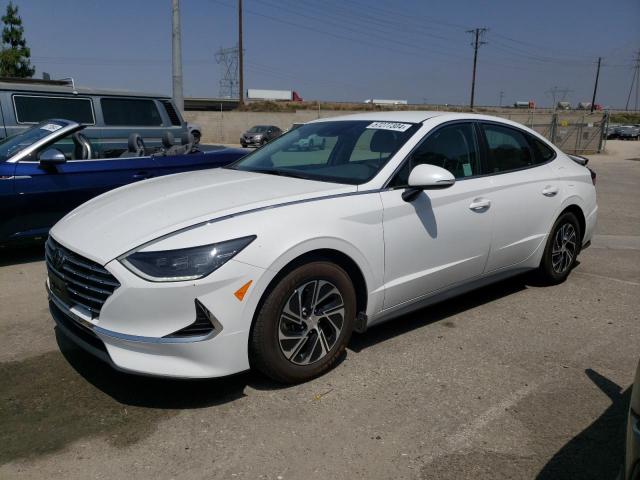 HYUNDAI SONATA 2023 kmhl24jj5pa060412